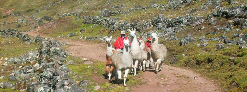 caminatas alternativas