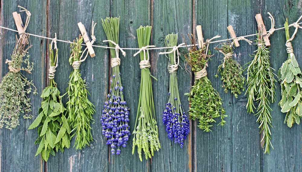 aromatic herbs